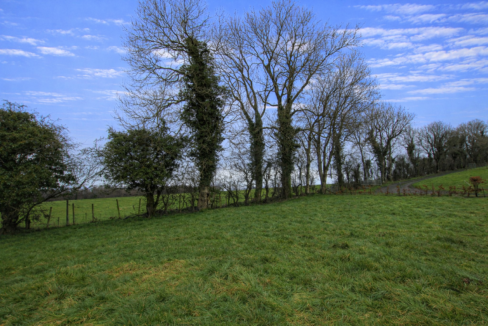 ChatGPT Image Feb 2, 2026, 09_23_21 PM