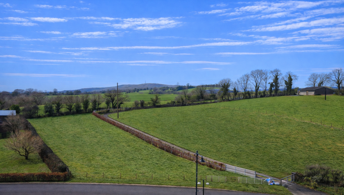 ChatGPT Image Feb 4, 2026, 08_58_06 AM