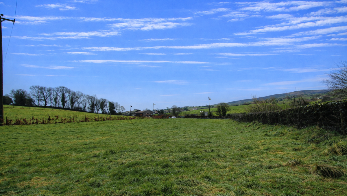 ChatGPT Image Feb 4, 2026, 09_00_35 AM